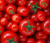 El tomate reduce el riesgo de cáncer de próstata